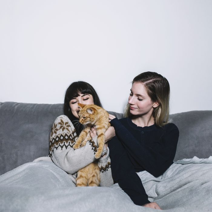Two customers cuddling a cat on the sofa